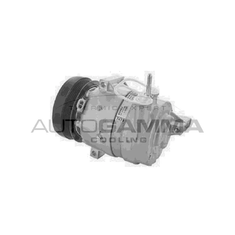 Compresseur, climatisation AUTOGAMMA 118655