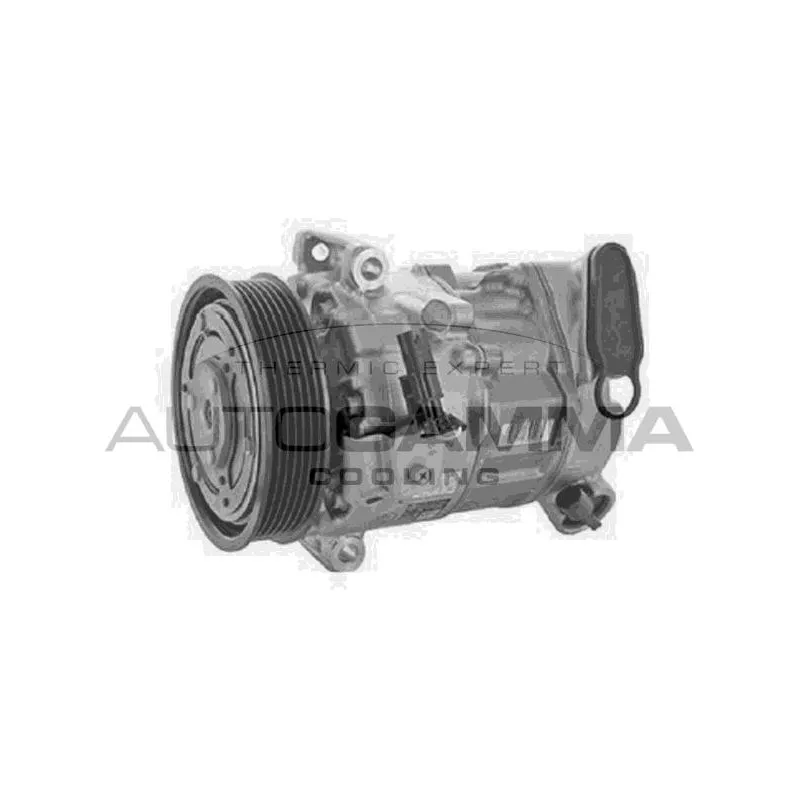 Compresseur, climatisation AUTOGAMMA 118660