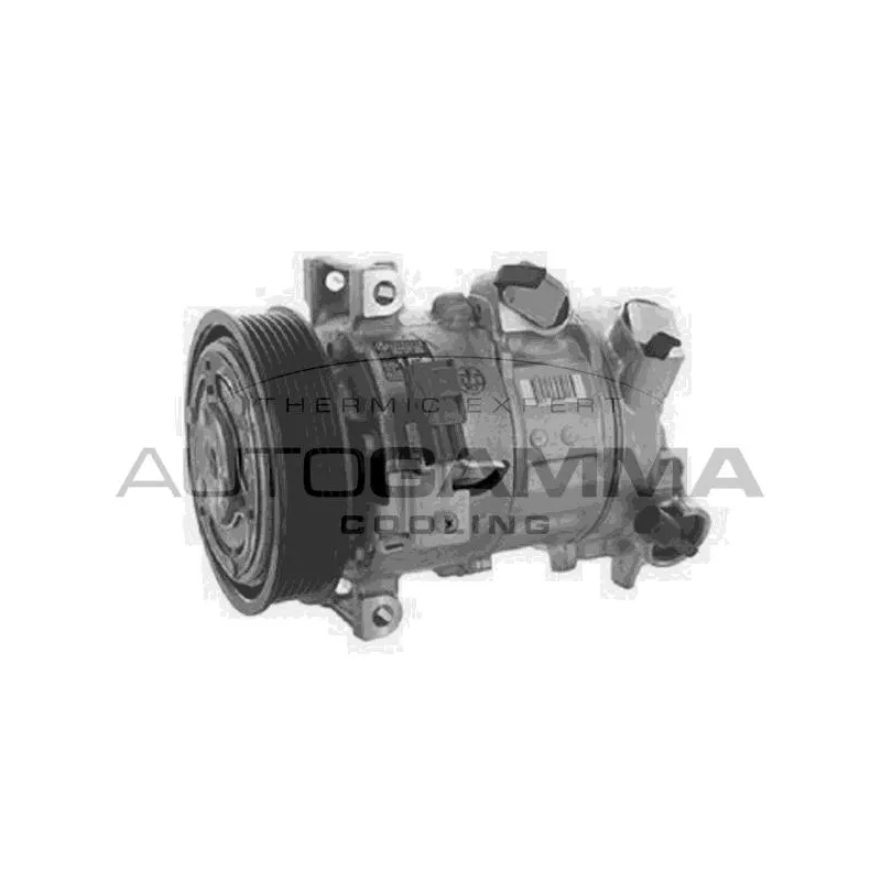 Compresseur, climatisation AUTOGAMMA 118661