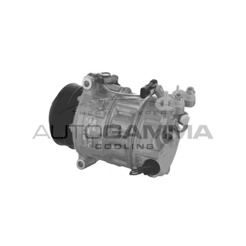 Compresseur, climatisation AUTOGAMMA 118676