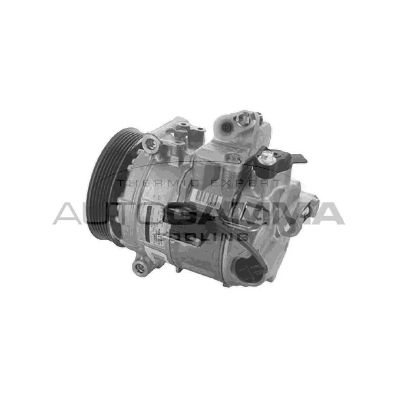 Compresseur, climatisation AUTOGAMMA 118699