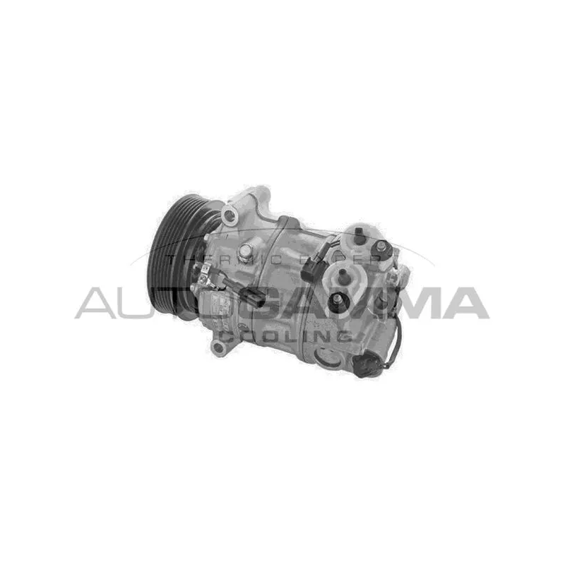 Compresseur, climatisation AUTOGAMMA 118702