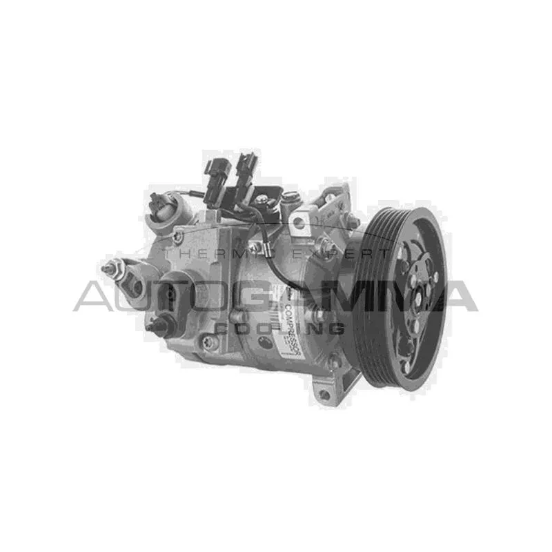 Compresseur, climatisation AUTOGAMMA 118703