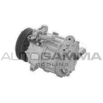 Compresseur, climatisation AUTOGAMMA 118713