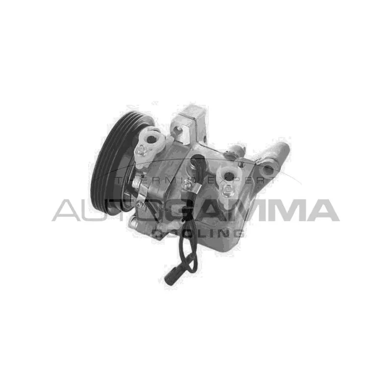 Compresseur, climatisation AUTOGAMMA 118716