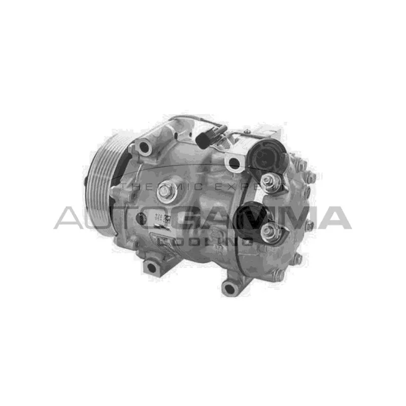 Compresseur, climatisation AUTOGAMMA 118719