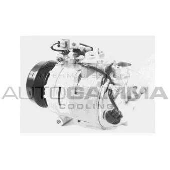 Compresseur, climatisation AUTOGAMMA 118741