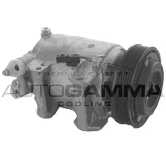 Compresseur, climatisation AUTOGAMMA 118747