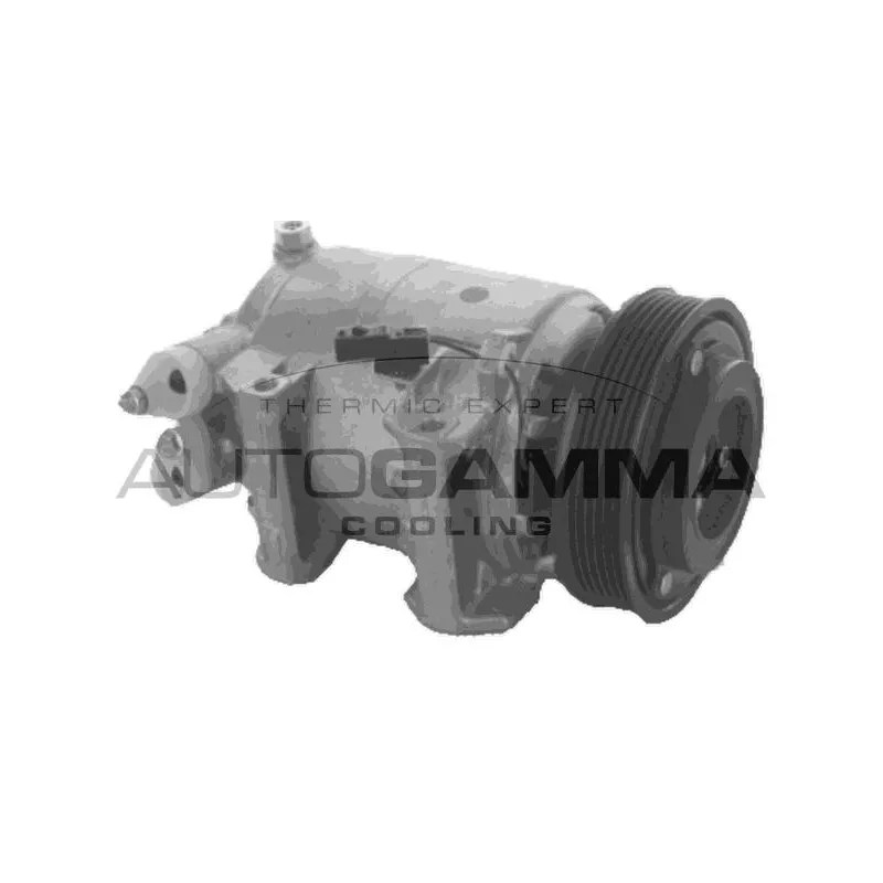 Compresseur, climatisation AUTOGAMMA 118747