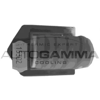 Résistance de série, moteur électrique-ventilateur du radiat AUTOGAMMA GA15302