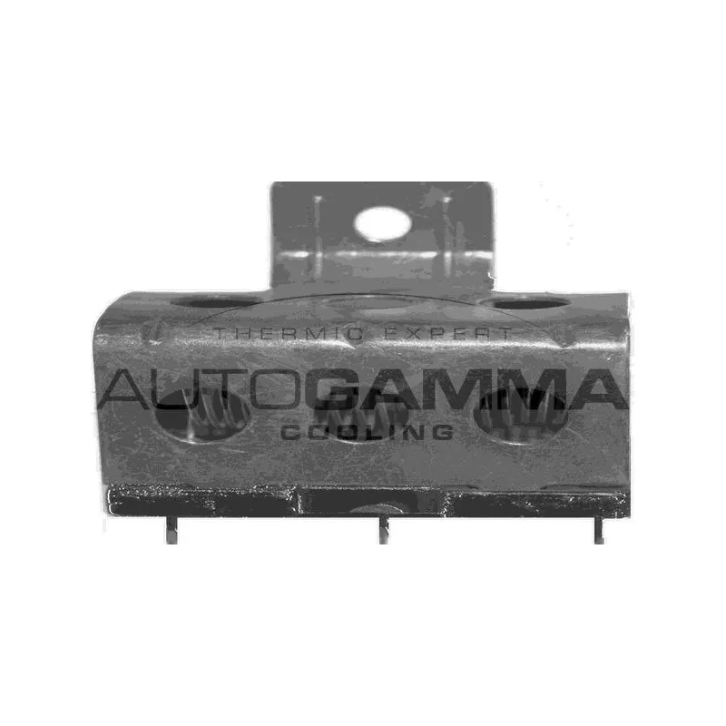 Résistance, pulseur d'air habitacle AUTOGAMMA GA15510