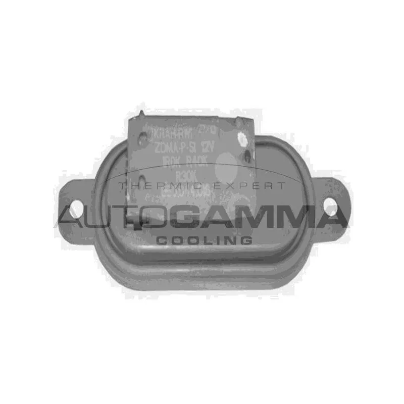 Résistance, pulseur d'air habitacle AUTOGAMMA GA15513