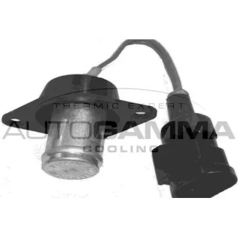 Résistance de série, moteur électrique-ventilateur du radiat AUTOGAMMA GA15570