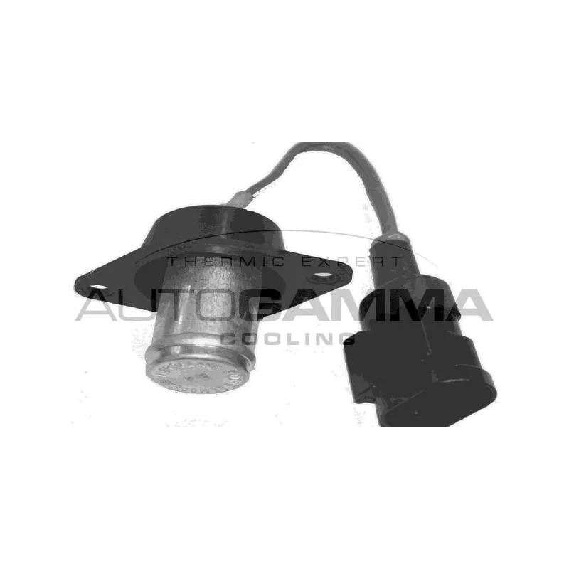 Résistance de série, moteur électrique-ventilateur du radiat AUTOGAMMA GA15570