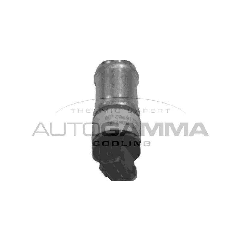 Résistance de série, moteur électrique-ventilateur du radiat AUTOGAMMA GA15623