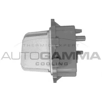 Résistance, pulseur d'air habitacle AUTOGAMMA GA15700