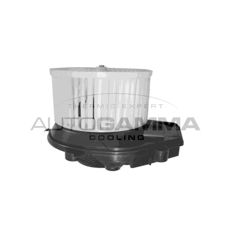 Pulseur d'air habitacle AUTOGAMMA GA20010