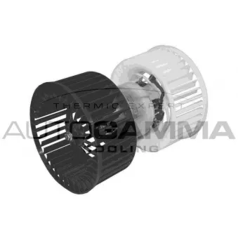 Pulseur d'air habitacle AUTOGAMMA GA20015
