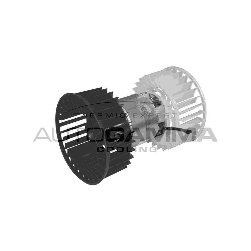 Pulseur d'air habitacle AUTOGAMMA GA20016