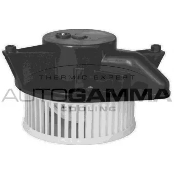 Pulseur d'air habitacle AUTOGAMMA GA20028