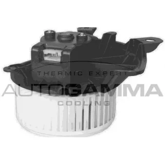 Pulseur d'air habitacle AUTOGAMMA GA20029