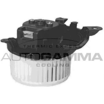 Pulseur d'air habitacle AUTOGAMMA GA20032
