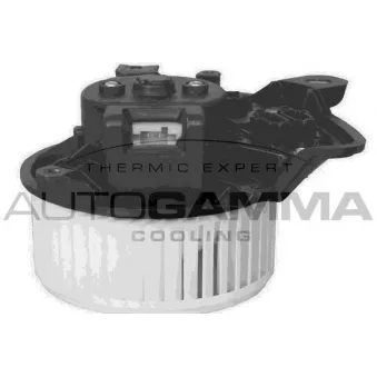 Pulseur d'air habitacle AUTOGAMMA GA20033