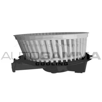 Pulseur d'air habitacle AUTOGAMMA GA20040