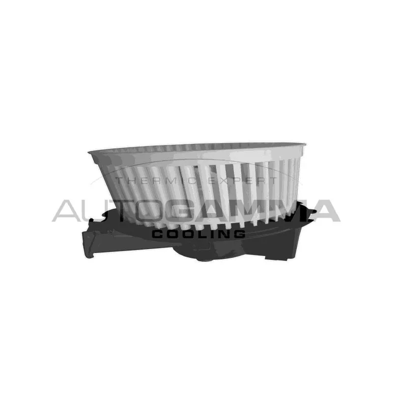 Pulseur d'air habitacle AUTOGAMMA GA20040