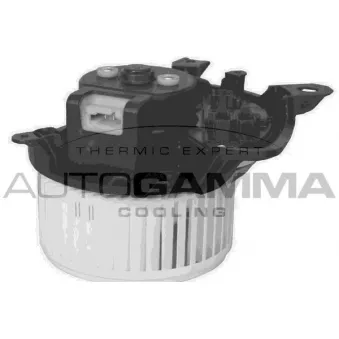 Pulseur d'air habitacle AUTOGAMMA GA20045