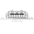 Ventilateur, refroidissement du moteur AUTOGAMMA GA200466 - Visuel 2