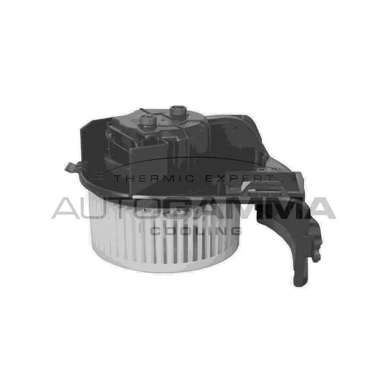 Pulseur d'air habitacle AUTOGAMMA GA20053