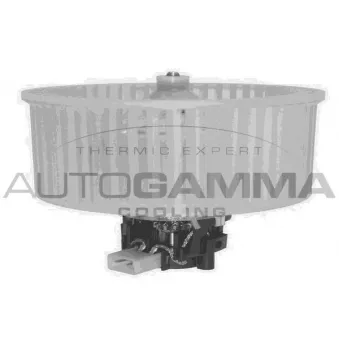 Pulseur d'air habitacle AUTOGAMMA GA20055