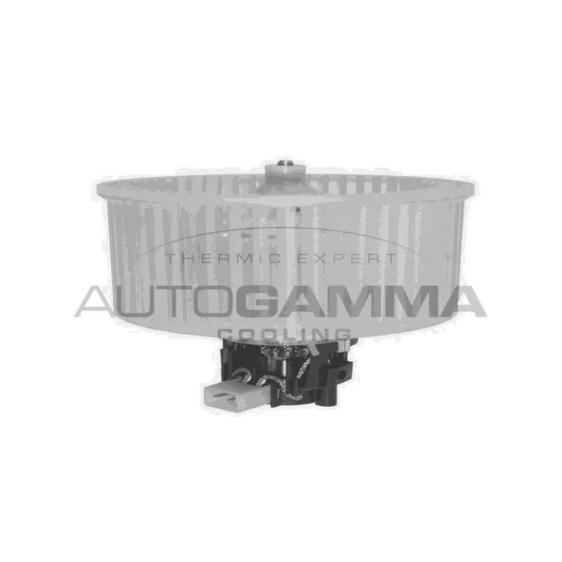 Pulseur d'air habitacle AUTOGAMMA GA20055