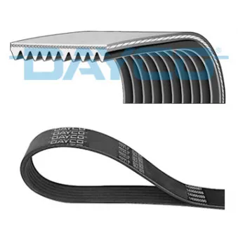 Courroie trapézoïdale à nervures DAYCO 10PK1005HD