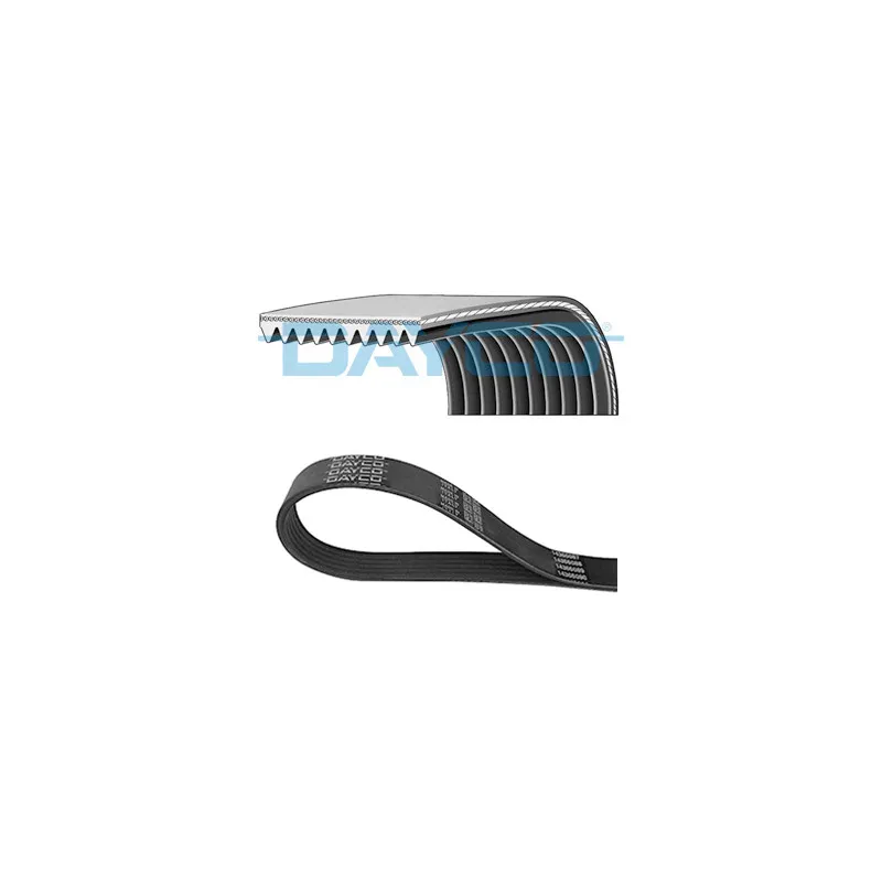 Courroie trapézoïdale à nervures DAYCO 10PK1005HD