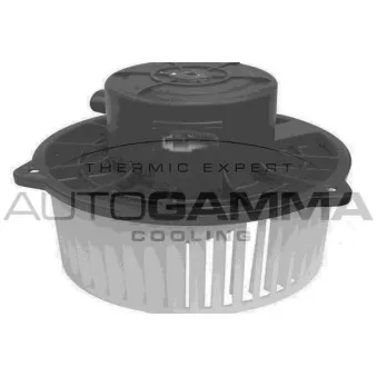 Pulseur d'air habitacle AUTOGAMMA GA20058