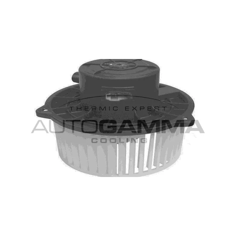 Pulseur d'air habitacle AUTOGAMMA GA20058