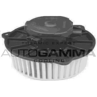 Pulseur d'air habitacle AUTOGAMMA GA20060