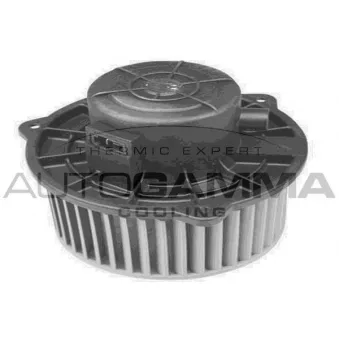 Pulseur d'air habitacle AUTOGAMMA GA20061