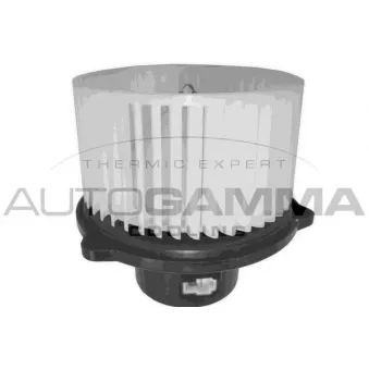 Pulseur d'air habitacle AUTOGAMMA GA20062