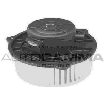 Pulseur d'air habitacle AUTOGAMMA GA20063