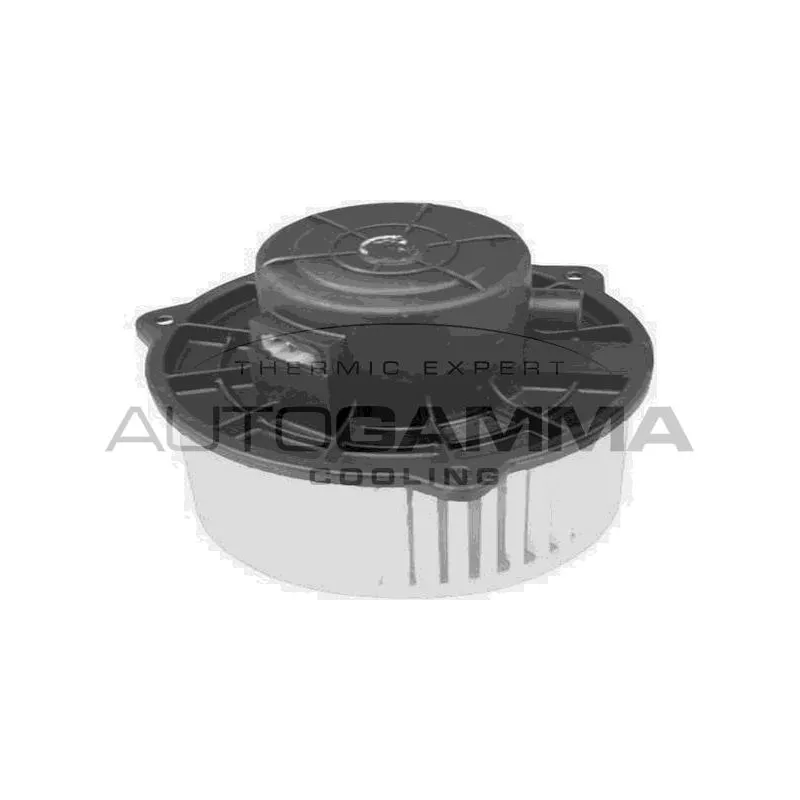 Pulseur d'air habitacle AUTOGAMMA GA20063