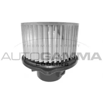 Pulseur d'air habitacle AUTOGAMMA GA20064