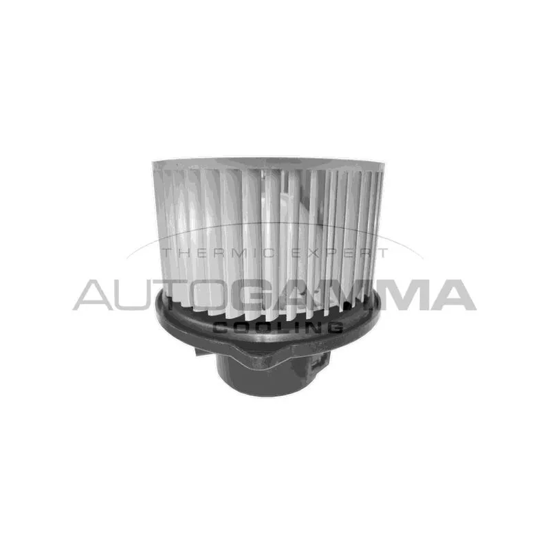Pulseur d'air habitacle AUTOGAMMA GA20064