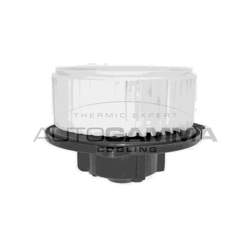 Pulseur d'air habitacle AUTOGAMMA GA20067