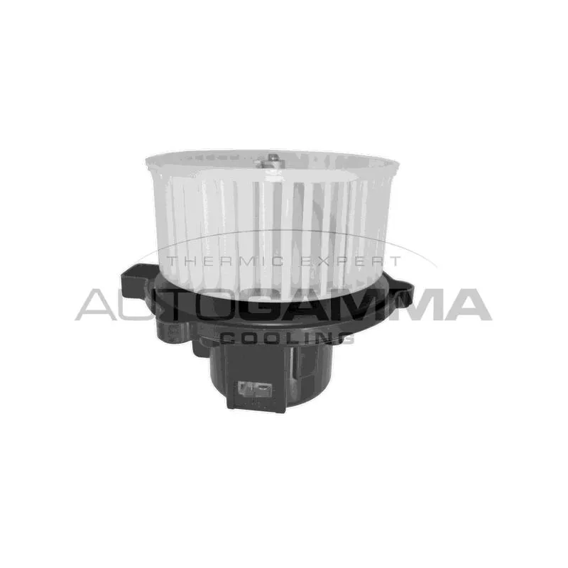 Pulseur d'air habitacle AUTOGAMMA GA20069