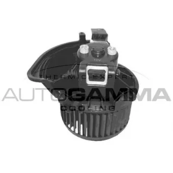 Pulseur d'air habitacle AUTOGAMMA GA20094