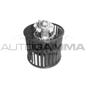 Pulseur d'air habitacle AUTOGAMMA GA20099