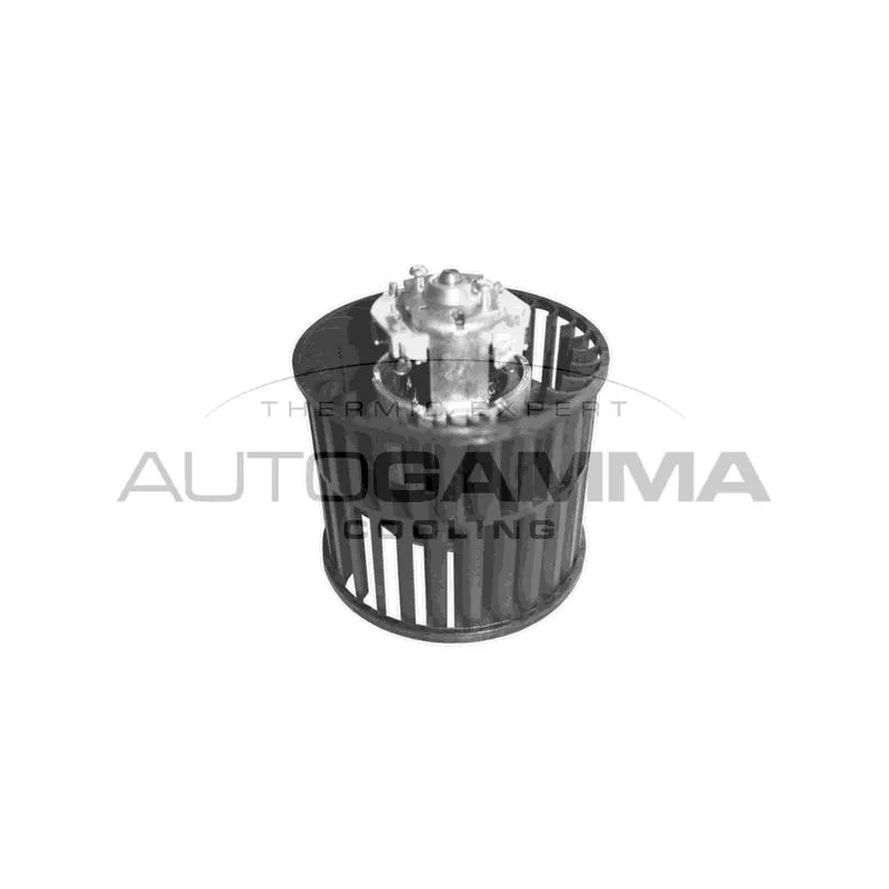Pulseur d'air habitacle AUTOGAMMA GA20099